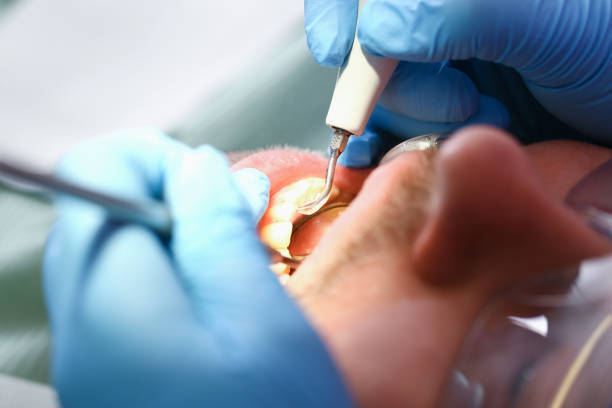 Best Emergency X-Rays and Diagnostics in Lexington, WA